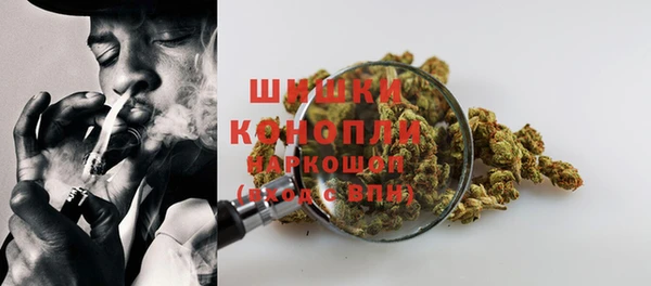 дживик Верея