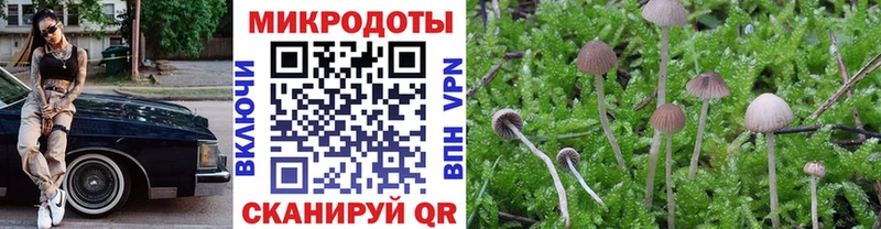 магазин  наркотиков  Гвардейск  MEGA вход  Псилоцибиновые грибы MAGIC MUSHROOMS 